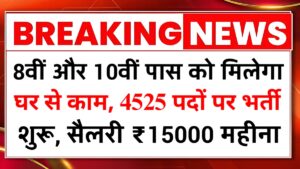 Women Work From Home Job